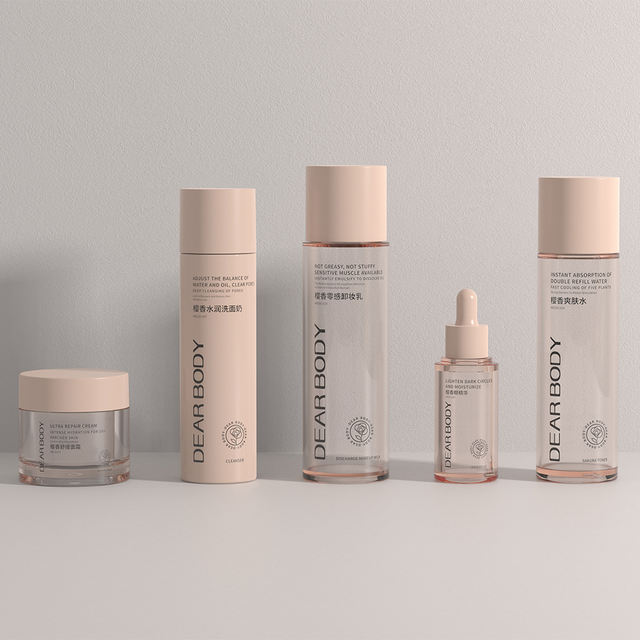 Luxury Eco-Friendly 15ml 30ml 60ml 100ml 120ml 200ml Set of Skincare Cream Lotion Plastic Bottles with Press Pump